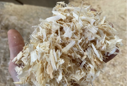 Bulk Fresh Shavings 