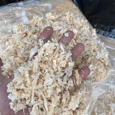 G Shavings 