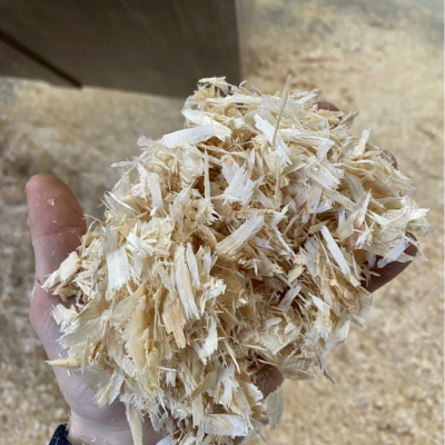 Bulk Fresh Shavings 