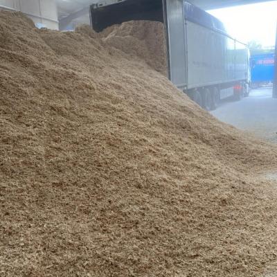 Bulk Kiln Dried Shavings 