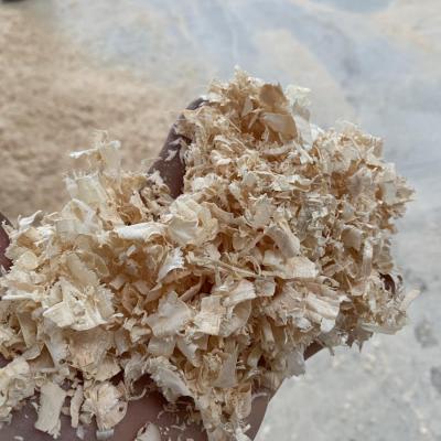 Bulk Kiln Dried Shavings 